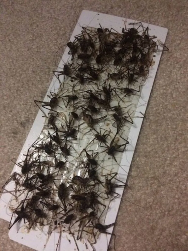 KAKVO JE VA&Scaron;E OSJETILO STRAHA? Ako vas ovi prizori ne prestra&scaron;e, možda vam nedostaje bitan obrambeni mehanizam