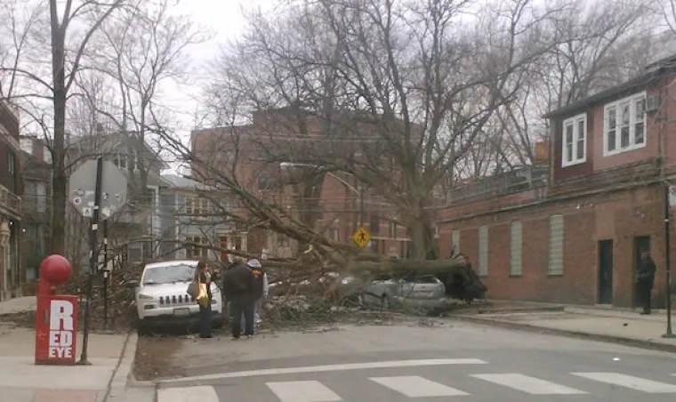 'VJETRE S DINARE...': Hrvanje s vjetrom nije ba&scaron; zabavno - osim ako ste nepristrani promatrač, onda je urnebesno