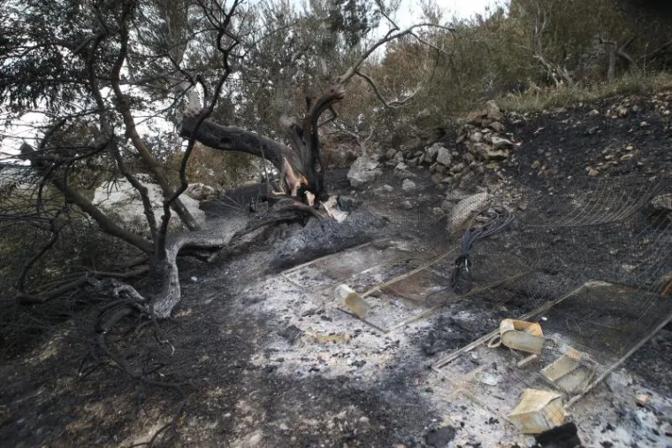 SILA MAJKE PRIRODE: Požar kod Trogira bio je nemilosrdan, pogledajte &scaron;to je ostalo iza njega