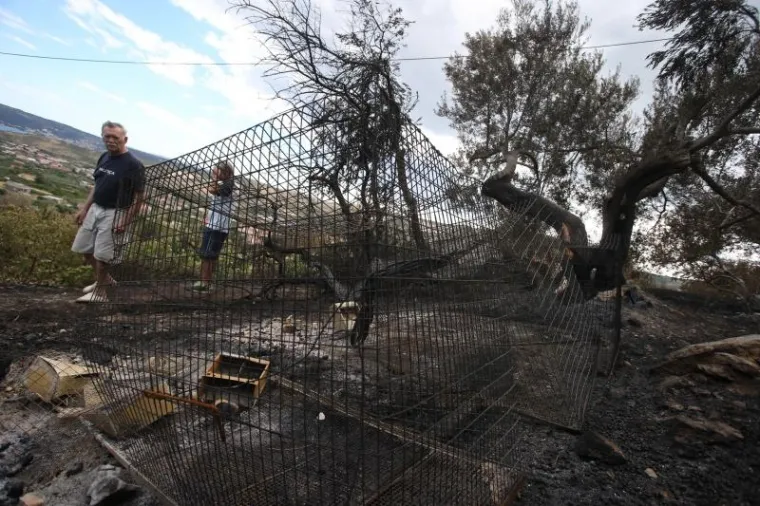 SILA MAJKE PRIRODE: Požar kod Trogira bio je nemilosrdan, pogledajte &scaron;to je ostalo iza njega
