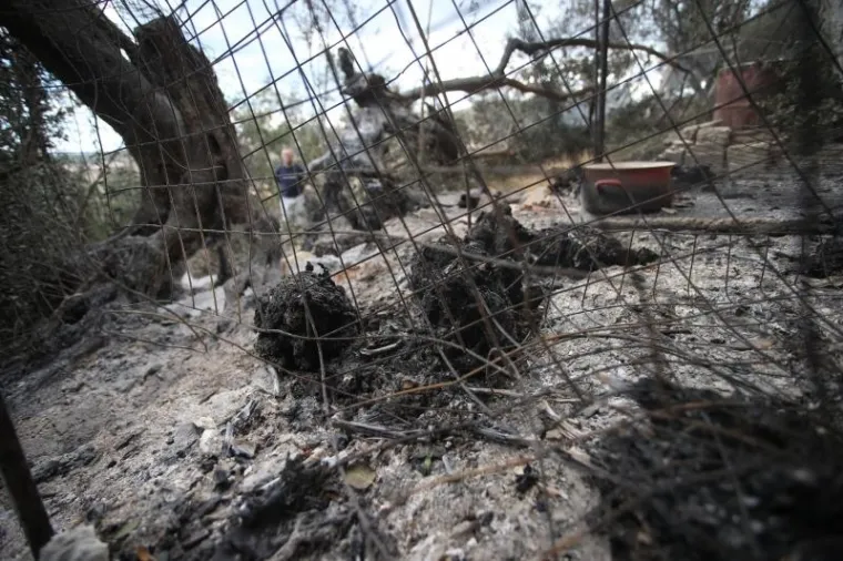 SILA MAJKE PRIRODE: Požar kod Trogira bio je nemilosrdan, pogledajte &scaron;to je ostalo iza njega