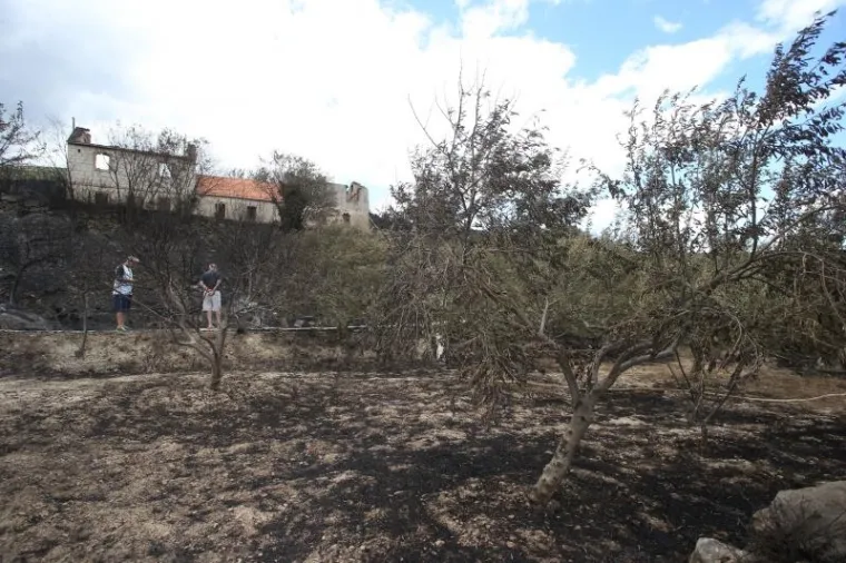 Posljedice katastrofalnog požara u Planom