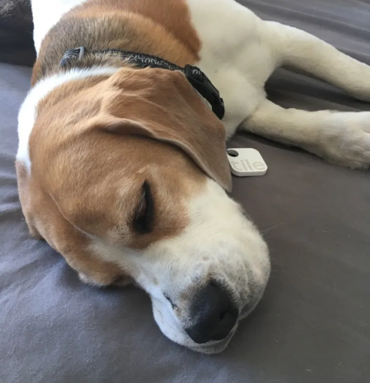 Uz pomoć ove pločice, vi&scaron;e nikada nećete gubiti stvari. Možete je pričvrstiti na bilo &scaron;to - dovoljno je samo nazvati s pametnog telefona i pločica će vam locirati predmet. Korisna je i ako imate ljubimca koji voli bježati od kuće.