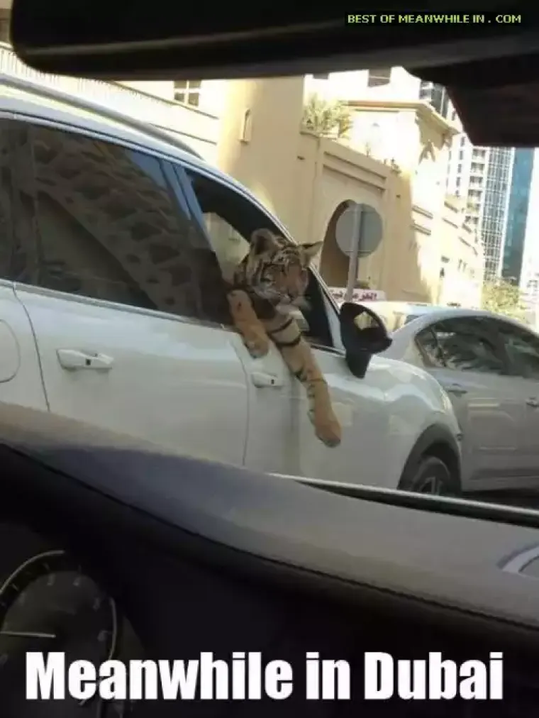 NI&Scaron;TA NEOBIČNO, SAMO DUBAI... Neki bi pitali za&scaron;to, no pravo pitanje je za&scaron;to ne?