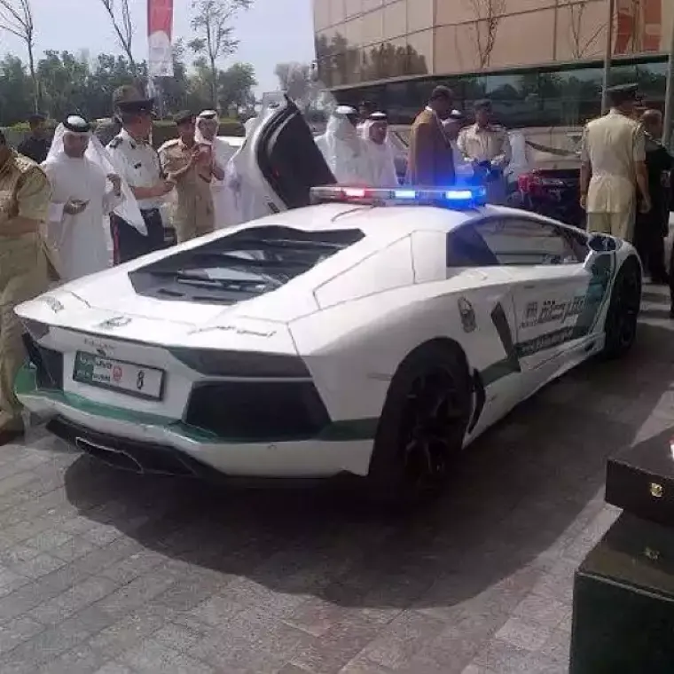 Od policijskog lamborghinija do bankomata za zlato,  od robota džokeja do tigrova, lavova i geparda kao ljubimaca, u Dubaiju ni&scaron;ta ne smije iznenaditi.