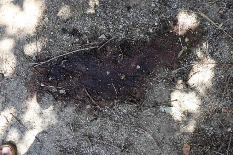 OVDJE JE SMOJVER UBIO RAKIĆA: Evo kako izgleda mjesto stra&scaron;nog zločina na Rabu