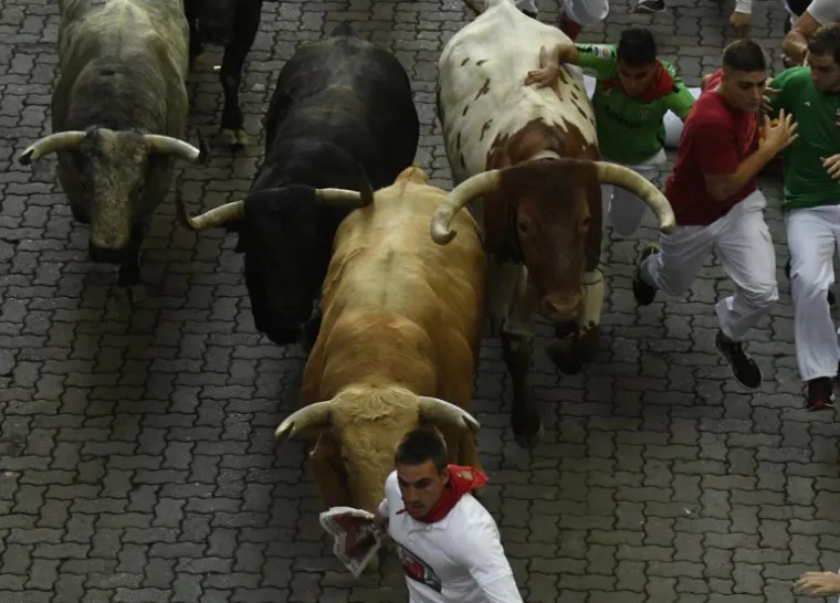 U 8:00 sati stotine se ljudi utrkuje sa šest bikova, jureći 850 metara kroz uske, zavojite ulice do gradske arene za borbu s bikovima