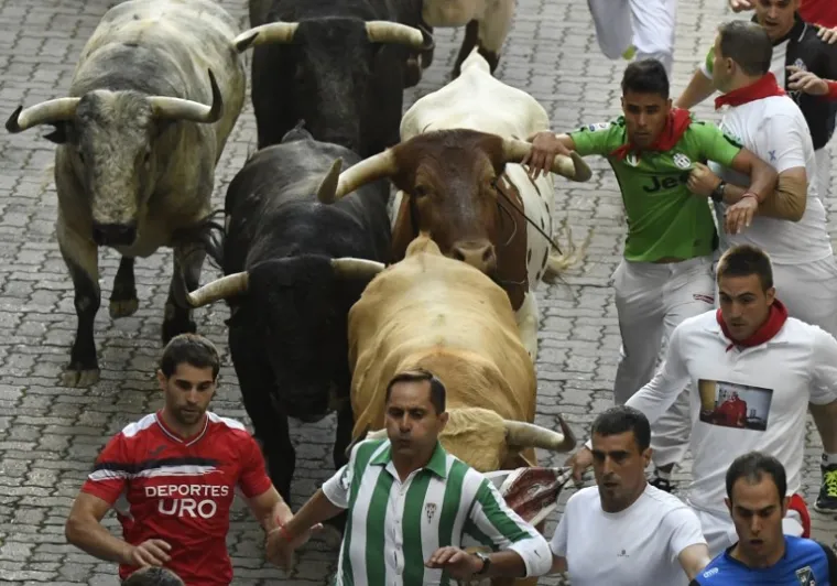 Svake godine 7. srpnja u Pamploni, na sjeveru Španjolske počinje festival San Fermin