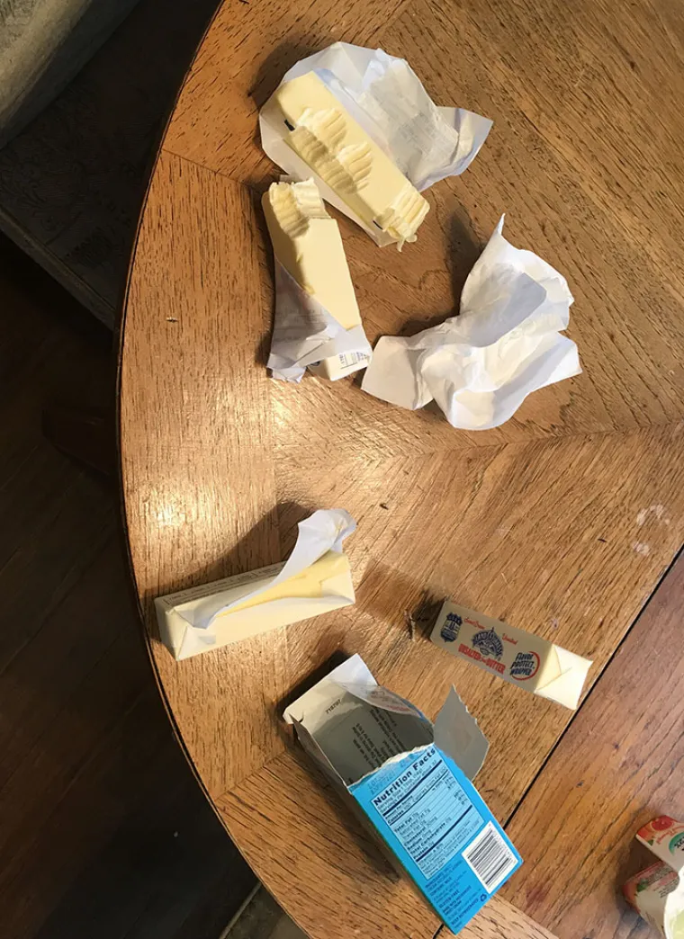 NE OSTAVLJAJTE DJECU SAMU KOD KUĆE: Mislite li da se ne može ni&scaron;ta lo&scaron;e dogoditi, pogledajte ove fotografije