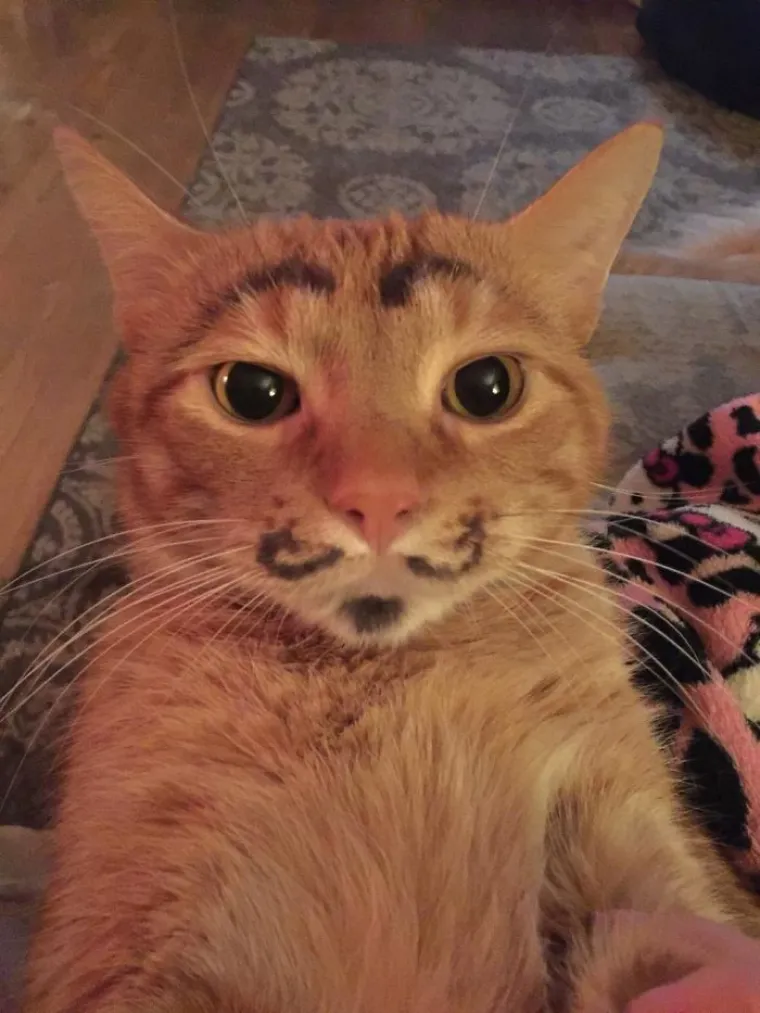 NE OSTAVLJAJTE DJECU SAMU KOD KUĆE: Mislite li da se ne može ni&scaron;ta lo&scaron;e dogoditi, pogledajte ove fotografije