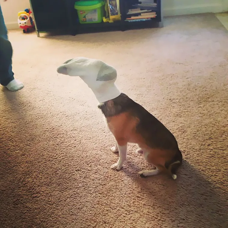 NE OSTAVLJAJTE DJECU SAMU KOD KUĆE: Mislite li da se ne može ni&scaron;ta lo&scaron;e dogoditi, pogledajte ove fotografije