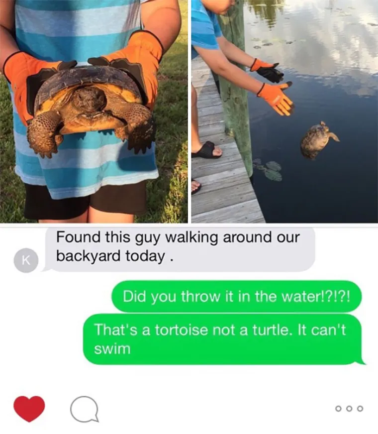 GLUPOST STVARNO NEMA GRANICE... Bilo od smijeha ili od tuge, ali plakat ćete sigurno