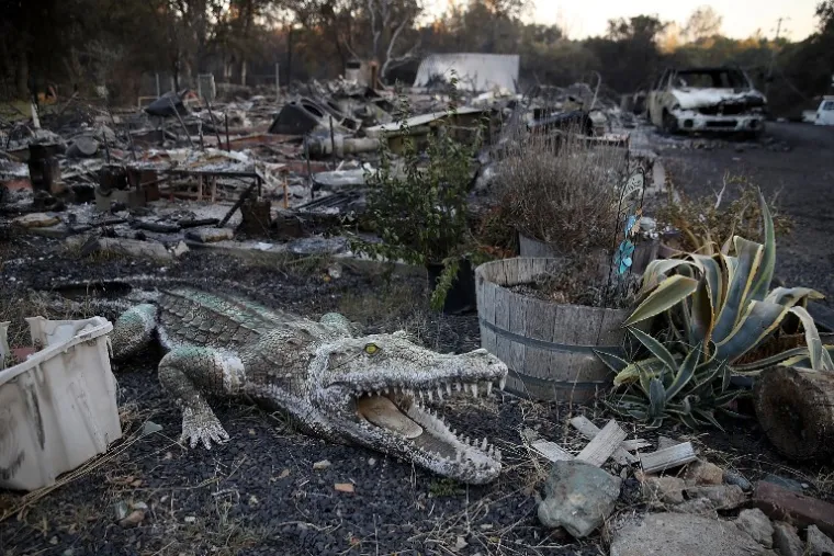 RAZORNA SNAGA PRIRODE UHVAĆENA KAMEROM: Kalifornijom haraju stravični požari, scene su nevjerojatne