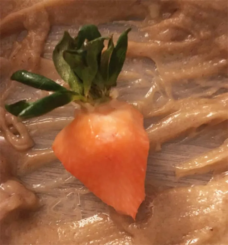 OGULIO IM KOŽU I POSLIKAO IH, NIJE ZA ONE SLABOG SRCA: Jeste li stvarno spremni vidjeti kako izgledaju voćke bez kore?