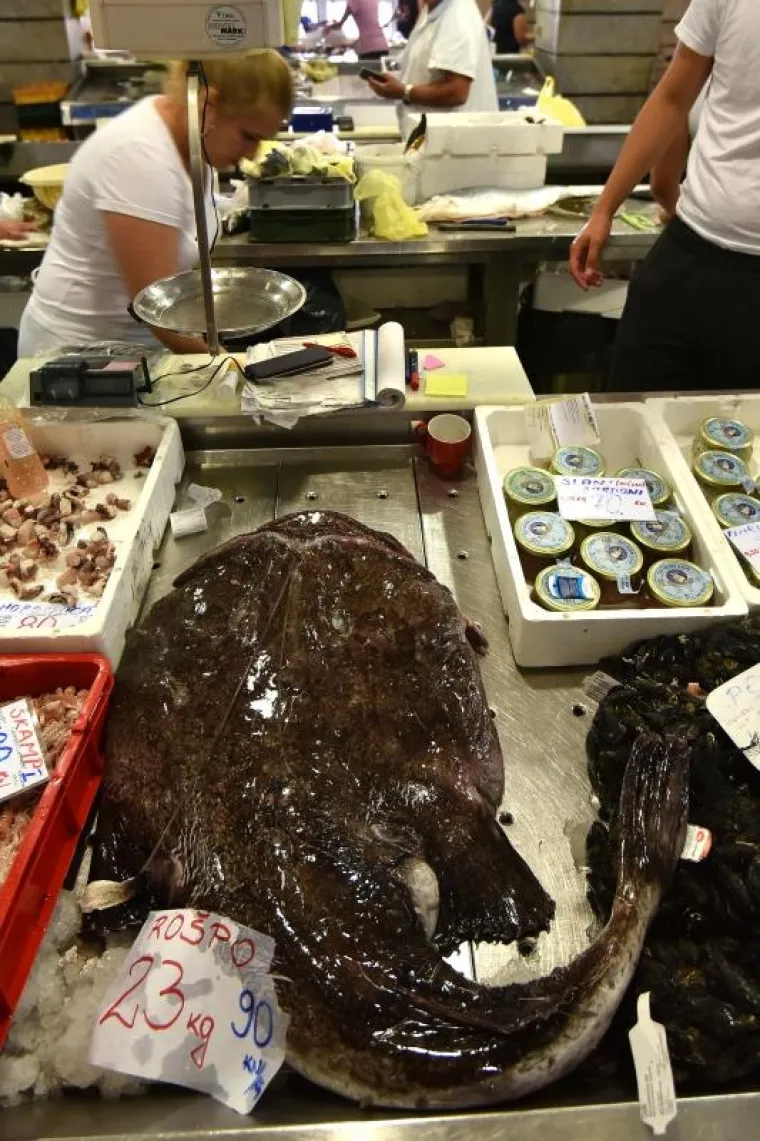 ČUDOVIŠTE IZ MORSKIH DUBINA: Grdobina od 23 kilograma glavna zvijezda na pulskoj tržnici