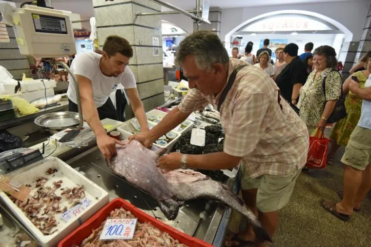 ČUDOVI&Scaron;TE IZ MORSKIH DUBINA: Grdobina od 23 kilograma glavna zvijezda na pulskoj tržnici