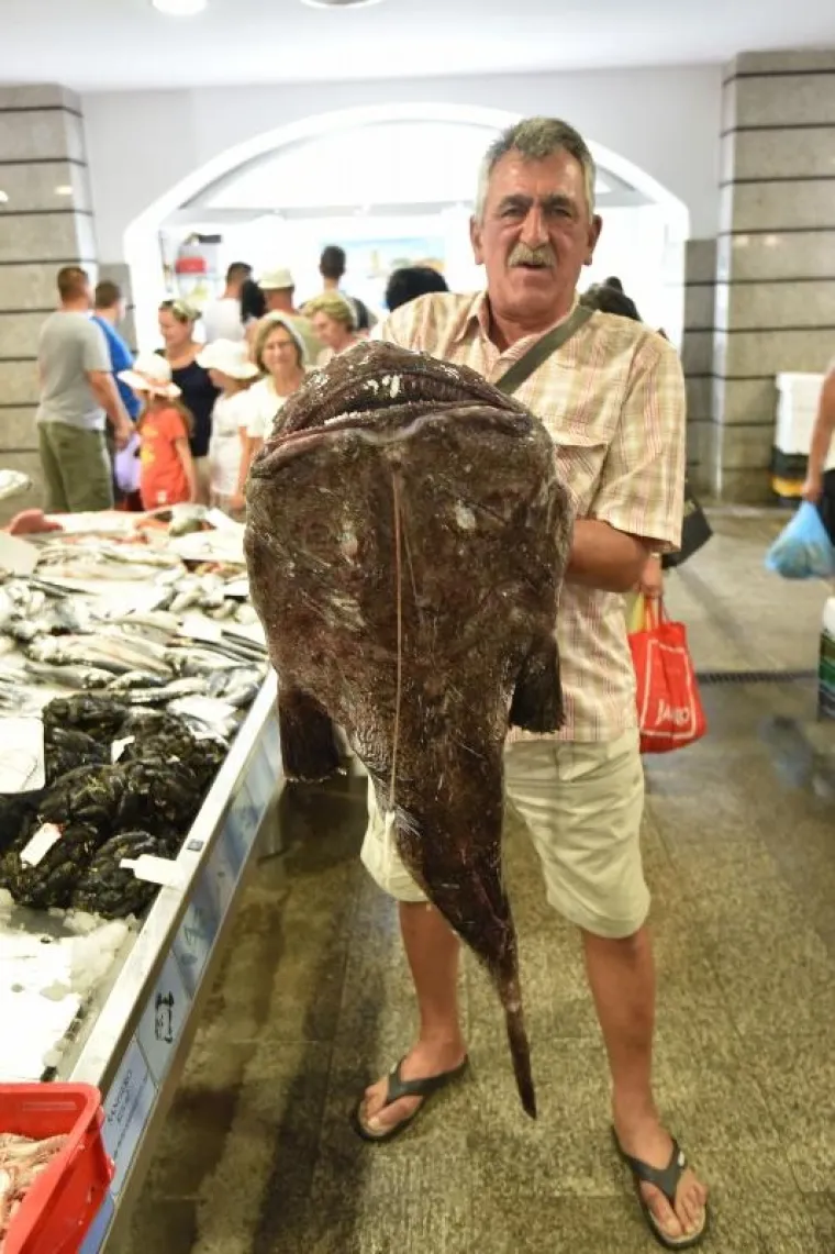 ČUDOVI&Scaron;TE IZ MORSKIH DUBINA: Grdobina od 23 kilograma glavna zvijezda na pulskoj tržnici