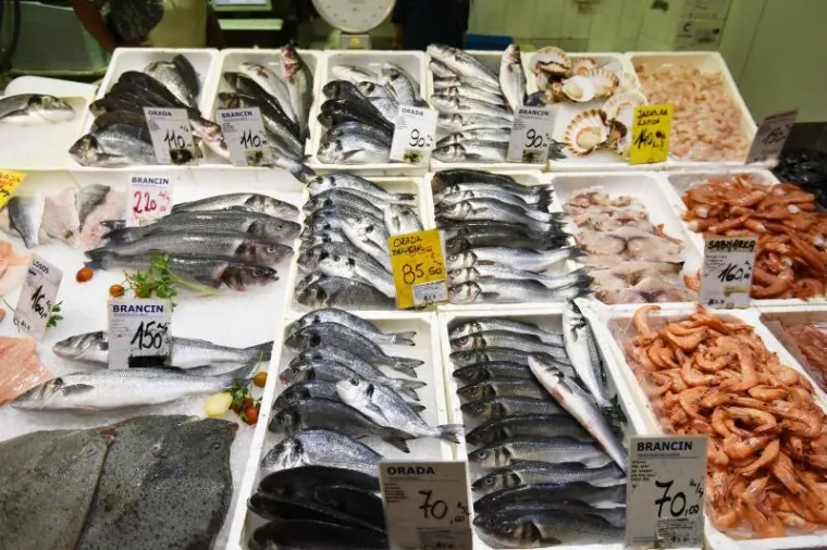 ČUDOVI&Scaron;TE IZ MORSKIH DUBINA: Grdobina od 23 kilograma glavna zvijezda na pulskoj tržnici