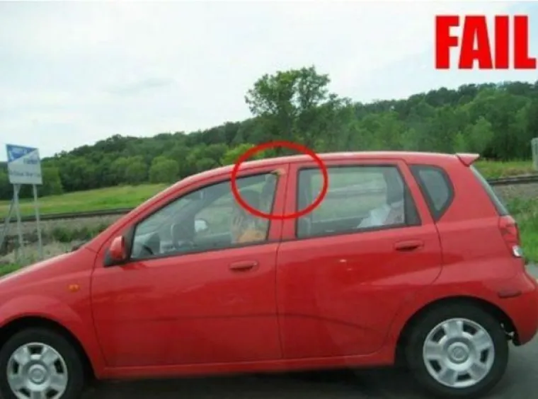 Internet je pun teorija, a ovo su neke od uvjerljivijih