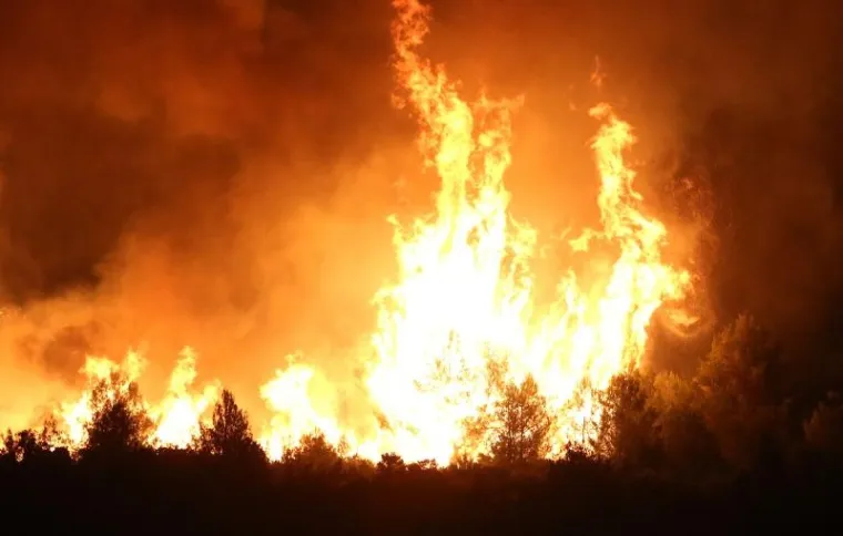 Od čvora Vrpolje prema Perkoviću rasplamsao se veliki požar