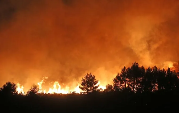 Od čvora Vrpolje prema Perkoviću rasplamsao se veliki požar