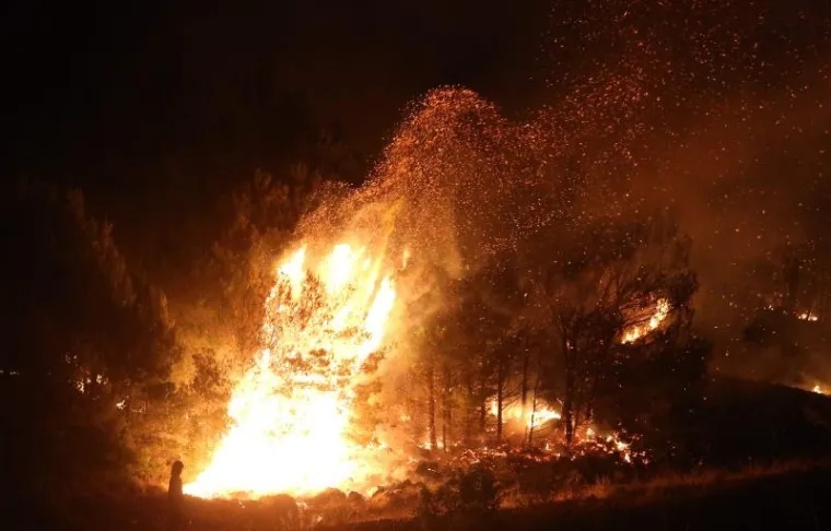 U blizini autoceste Zagreb - Split,  na brdu Trtar u blizini Bilica kod &Scaron;ibenika planuo je požar.  Gasi ga 50 vatrogasaca,  a gori uglavnom borova &scaron;uma i nisko raslinje. Kuće nisu ugrožene, a  do 22,25 sati bila je zatvorena autocesta u smjeru Zagreba.