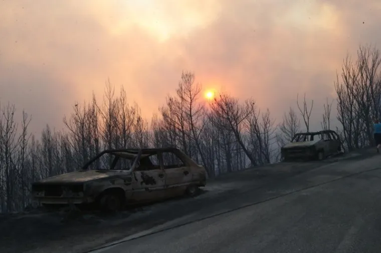 Stra&scaron;ni prizori iz Mravinaca nakon prolaska vatrene stihije