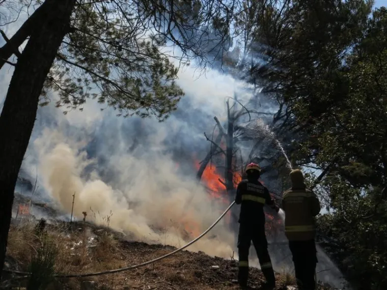 17.07.2017., Sitno Donje - Vatrogasci se bore s požarom koji je zahvatio šire područje te je zaprijetio kućama od kojih su neke i izgorjele. Photo: Ivo Cagalj/PIXSELL