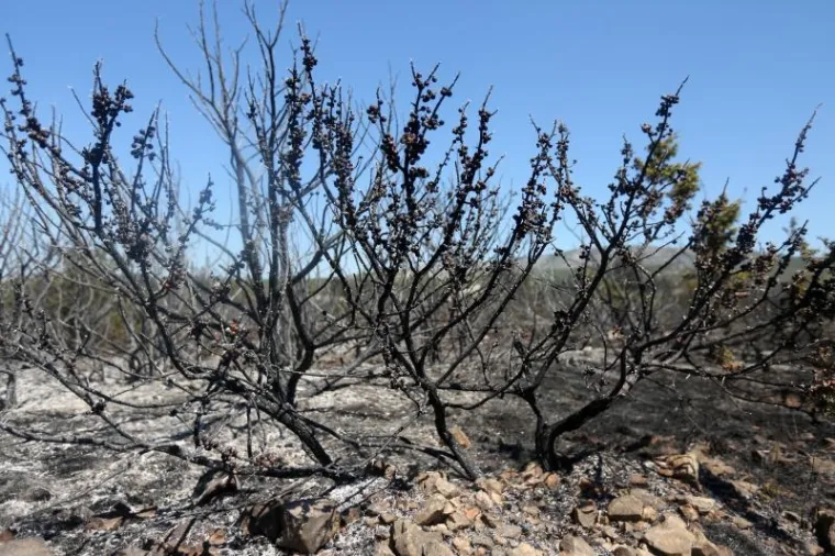 17.07.2017., Perković -Nakon burne noći i velikog požara no&scaron;enog jakim vjetrom, danas se čuvaju i osmatraju mjesta gdje noćas gorjelo. Teren na koji se nije smjelo noćas po danu izgleda sablasno, ali bez vatre. Tek na pokojem mjestu malo se dimi. Vatrogasci ni&scaron;ta ne prepu&scaron;taju slučaju jer je vrijeme vjetrovito.Photo: Dusko Jaramaz/PIXSELL