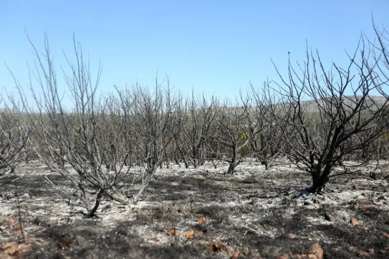 DAN NAKON KATASTROFALNE BUKTINJE: Pogledajte sablasne prizore kraj Perkovića