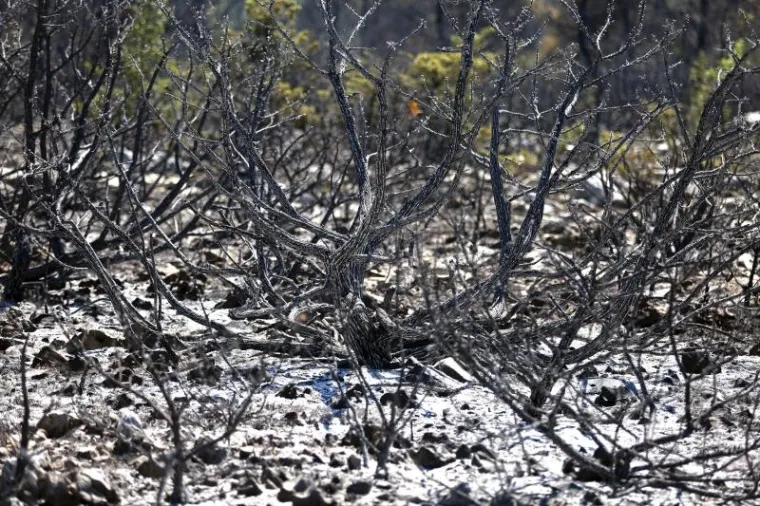 DAN NAKON KATASTROFALNE BUKTINJE: Pogledajte sablasne prizore kraj Perkovića