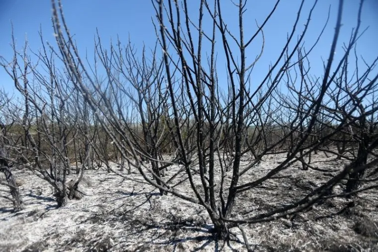 DAN NAKON KATASTROFALNE BUKTINJE: Pogledajte sablasne prizore kraj Perkovića