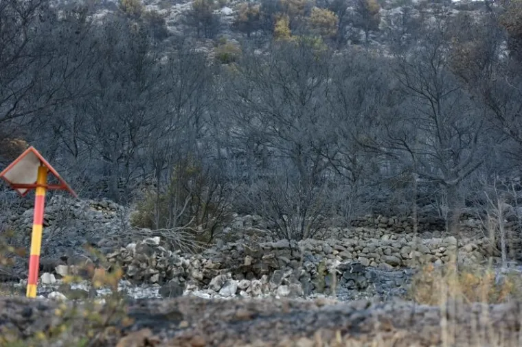 I DALJE GORI U PODSTRANI, SPA&Scaron;AVAJU SE KUĆE; VATROGASCI DEŽURAJU I NA BILICAMA: Poletjeli kanaderi