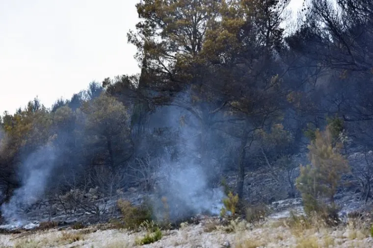 I DALJE GORI U PODSTRANI, SPA&Scaron;AVAJU SE KUĆE; VATROGASCI DEŽURAJU I NA BILICAMA: Poletjeli kanaderi