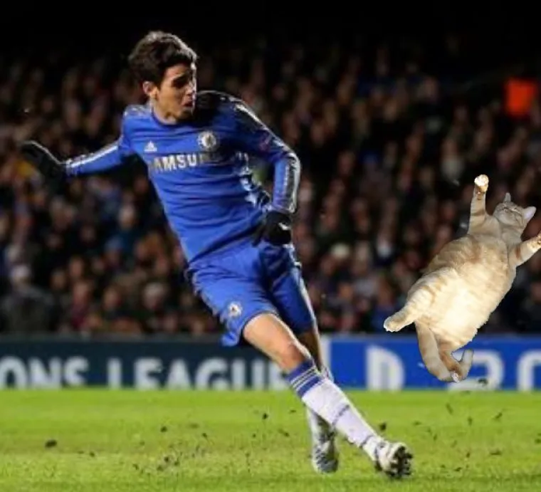 &Scaron;TO JE ZAJEDNIČKO MAČKAMA I NOGOMETU? Nije vic, ali ove su fotografije jednako toliko smije&scaron;ne