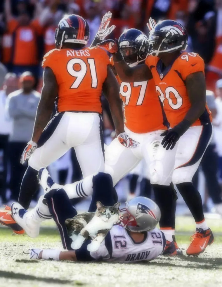 &Scaron;TO JE ZAJEDNIČKO MAČKAMA I NOGOMETU? Nije vic, ali ove su fotografije jednako toliko smije&scaron;ne