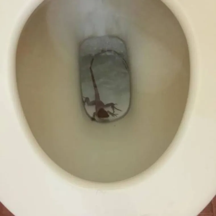 TAMO DOLJE NE&Scaron;TO NIJE U REDU: Prizori iz Australije koji će vam utjerati strah u kosti, kako oni uopće prežive?