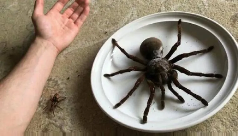 TAMO DOLJE NE&Scaron;TO NIJE U REDU: Prizori iz Australije koji će vam utjerati strah u kosti, kako oni uopće prežive?