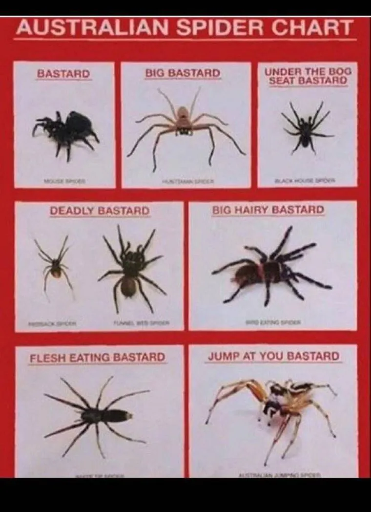 TAMO DOLJE NE&Scaron;TO NIJE U REDU: Prizori iz Australije koji će vam utjerati strah u kosti, kako oni uopće prežive?