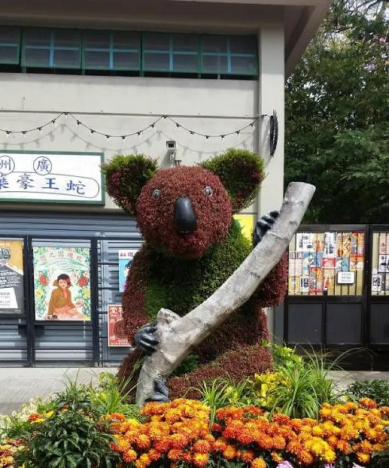 TAMO DOLJE NE&Scaron;TO NIJE U REDU: Prizori iz Australije koji će vam utjerati strah u kosti, kako oni uopće prežive?