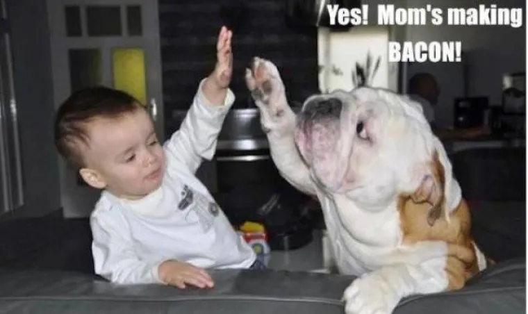 DJECA SU KAO LJUBIMCI, SAMO ŽIVE DUŽE: Sličnost je nevjerojatna, možete li uopće raspoznati tko je tko?