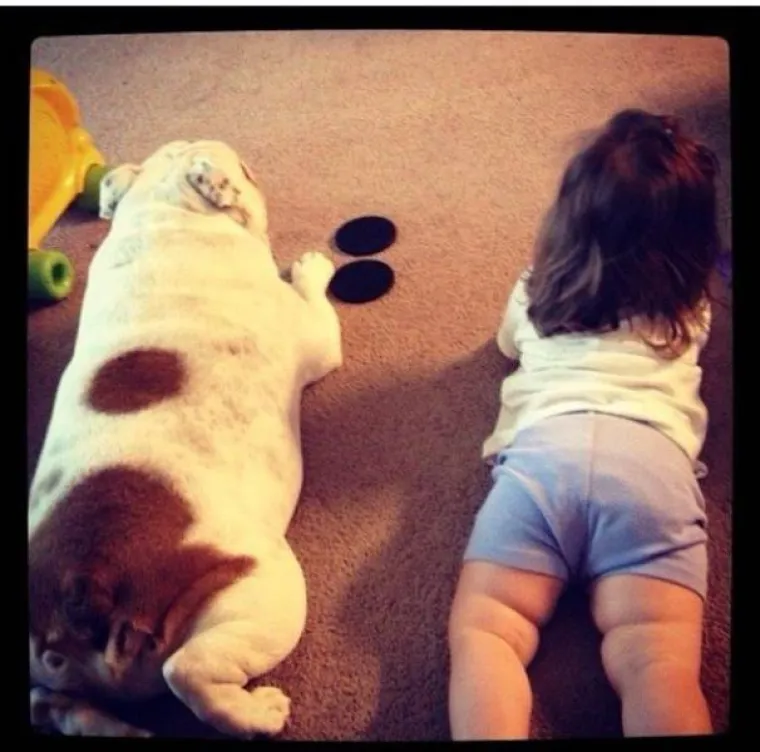 DJECA SU KAO LJUBIMCI, SAMO ŽIVE DUŽE: Sličnost je nevjerojatna, možete li uopće raspoznati tko je tko?