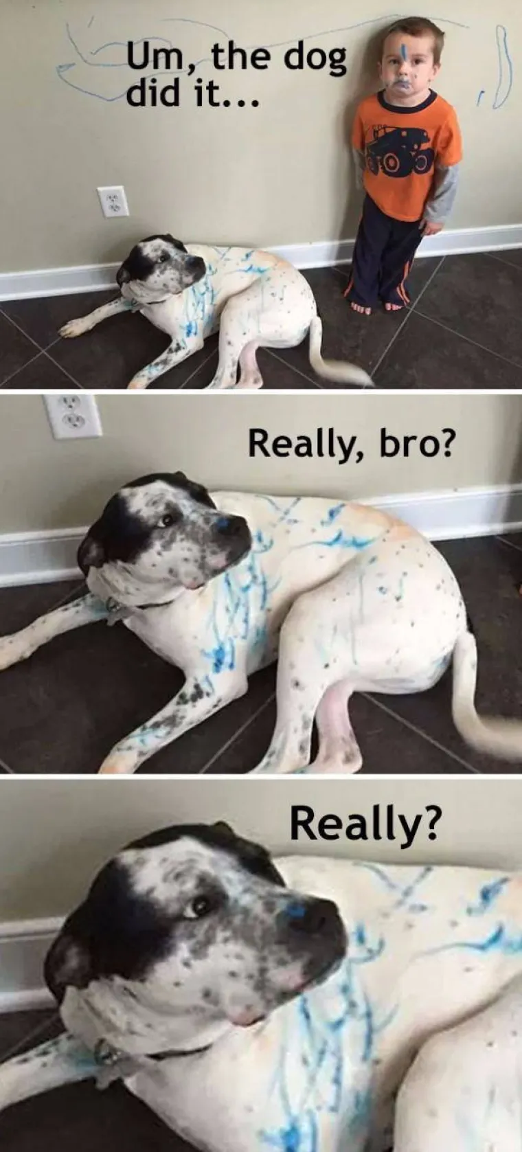 DJECA SU KAO LJUBIMCI, SAMO ŽIVE DUŽE: Sličnost je nevjerojatna, možete li uopće raspoznati tko je tko?