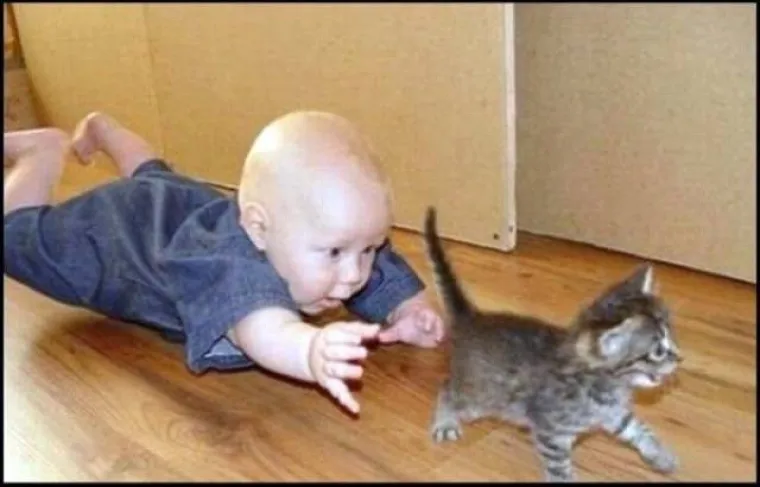 DJECA SU KAO LJUBIMCI, SAMO ŽIVE DUŽE: Sličnost je nevjerojatna, možete li uopće raspoznati tko je tko?