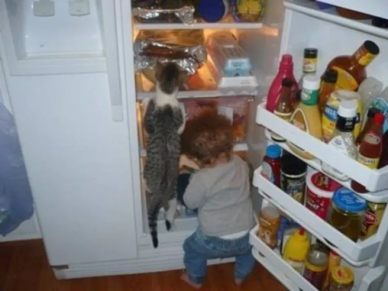 DJECA SU KAO LJUBIMCI, SAMO ŽIVE DUŽE: Sličnost je nevjerojatna, možete li uopće raspoznati tko je tko?