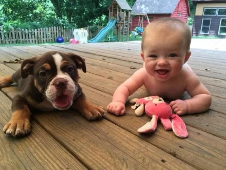 DJECA SU KAO LJUBIMCI, SAMO ŽIVE DUŽE: Sličnost je nevjerojatna, možete li uopće raspoznati tko je tko?
