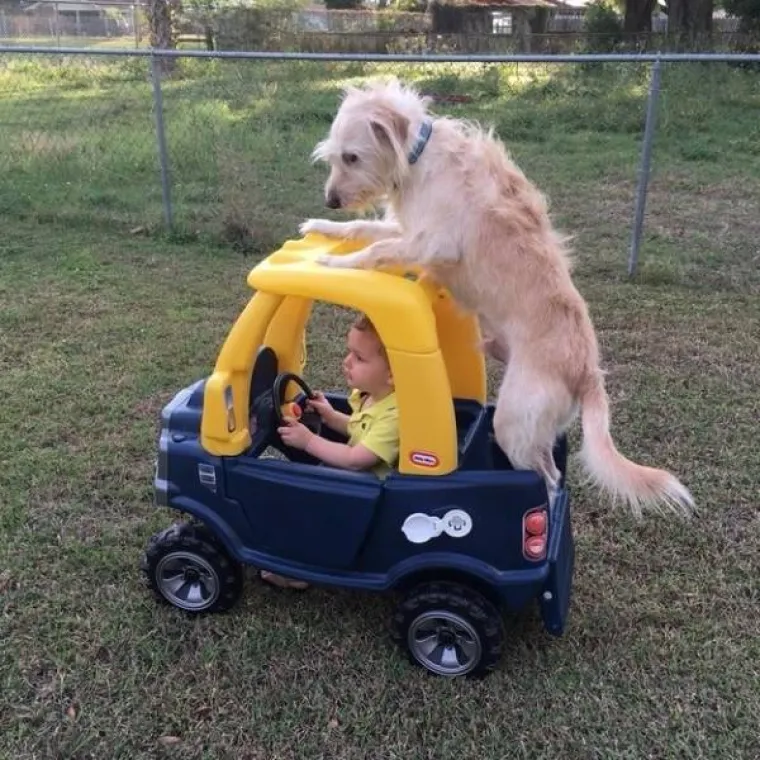 DJECA SU KAO LJUBIMCI, SAMO ŽIVE DUŽE: Sličnost je nevjerojatna, možete li uopće raspoznati tko je tko?