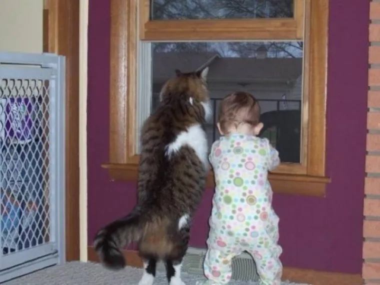 DJECA SU KAO LJUBIMCI, SAMO ŽIVE DUŽE: Sličnost je nevjerojatna, možete li uopće raspoznati tko je tko?