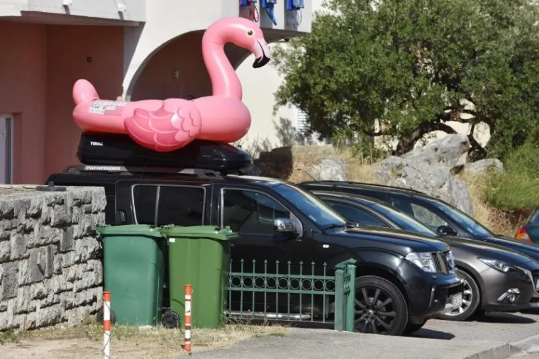 RAZVESELILI CIJELI PRIMOŠTEN ROZOM NEMANI: Slovačka obitelj dovezla sa sobom divovskog flaminga