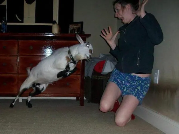 SVE JE U TAJMINGU: Uslikali ih ba&scaron; u pravi trenutak, pogledajte kakvu čaroliju su uspjeli uhvatiti objektivom